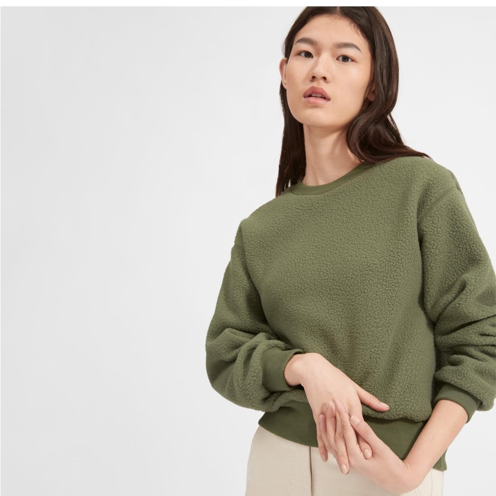 Everlane Oversized Fleece sweatshirt